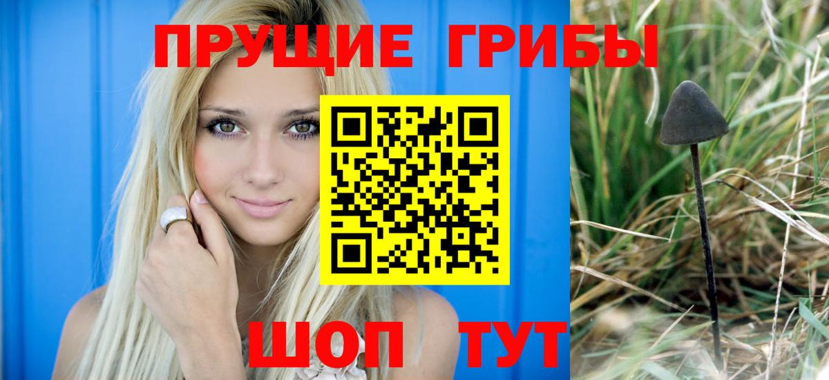 Псилоцибиновые грибы Cubensis Клинцы