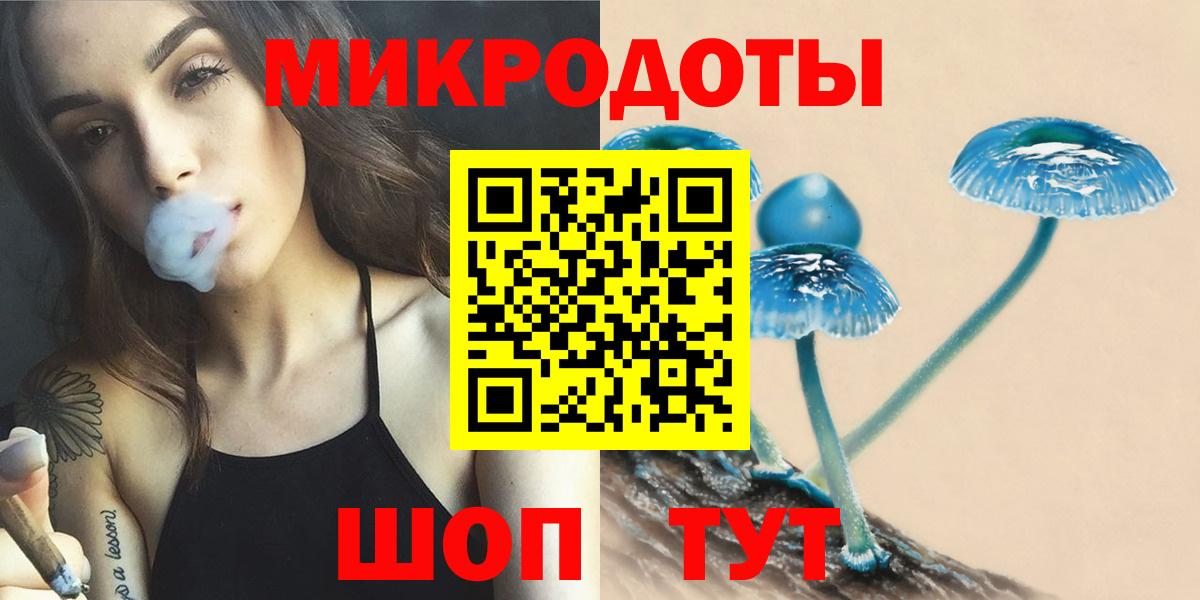 Клинцы  Псилоцибиновые грибы мицелий  Вход с VPN 